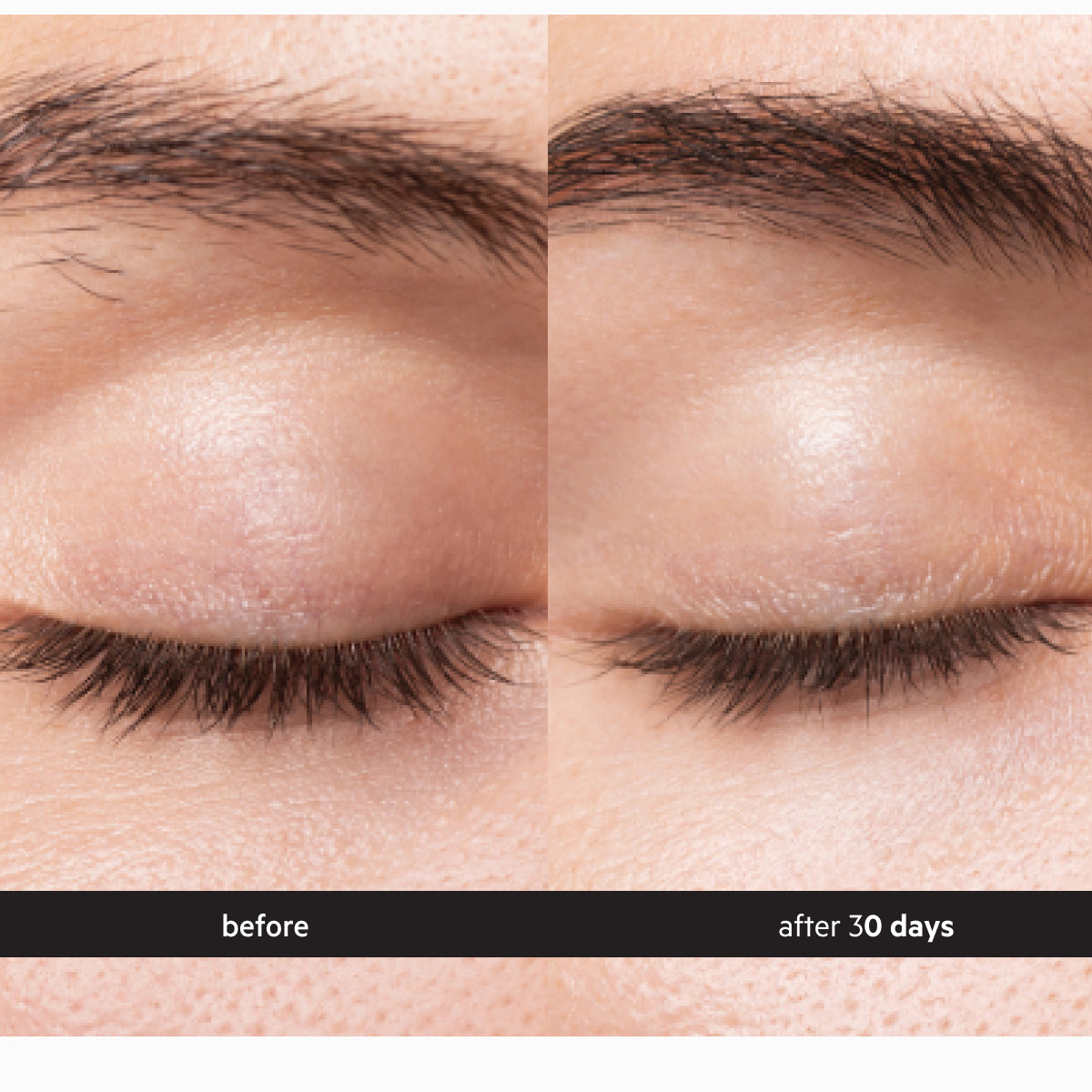 Spectral.BROW | EYEBROW CONDITIONING SERUM