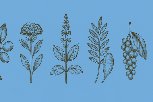 Adaptogens for Hair—Nature’s Solution to Stress-Related Hair Concerns